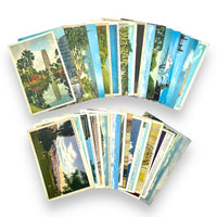 Vintage Postcard Bundle #5