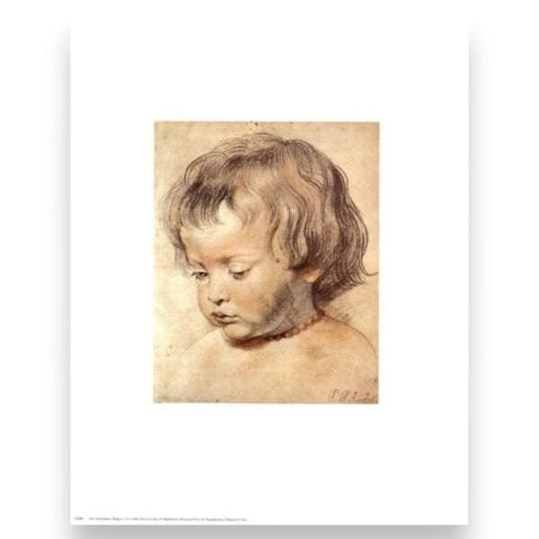 Head of a Boy by Peter Paul Rubens Vintage Offset Lithograph in Matte