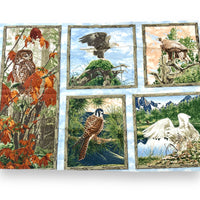 "Beautifully Wild Animals" Cotton Fabric Panel Bundle