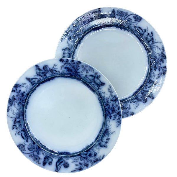 French Porcelain Plate Set