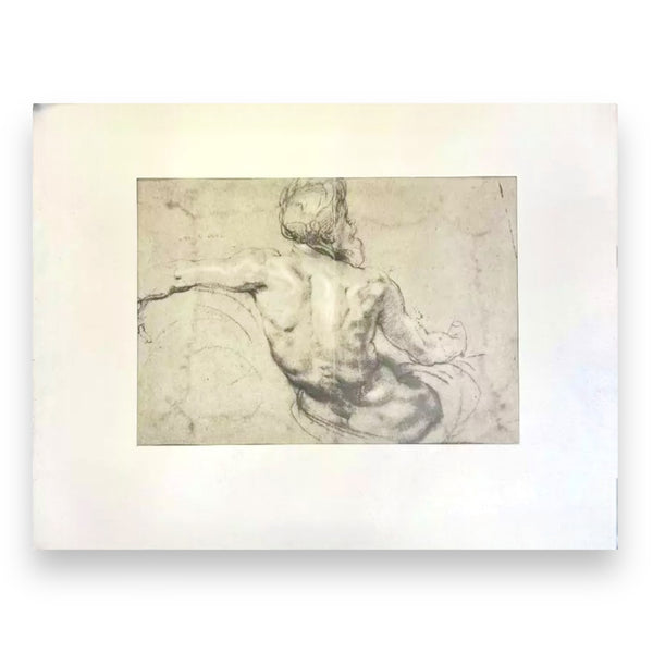 Study for "A River God" by Peter Paul Rubens Vintage Offset Lithograph in Matte