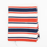 Striped Canvas Fabric - 1 1/4 yds x 38"