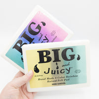 BIG and Juicy Ink Pad Bundle