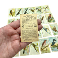 Vintage Arm and Hammer Birds of America Collectors Cards