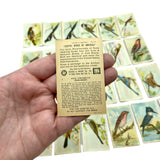 Vintage Arm and Hammer Birds of America Collectors Cards